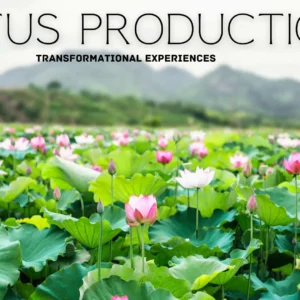 Purpose driving & Sacred business coaching