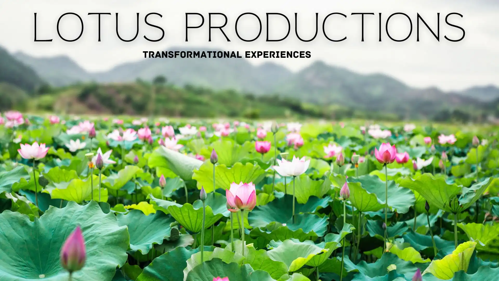 Purpose driving & Sacred business coaching