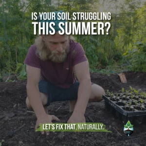 Natural Mulch and Cover